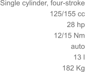 Single cylinder, four-stroke 125/155 cc 28 hp 	12/15 Nm auto 13 l 182 Kg